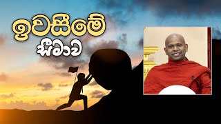 ඉවසීමේ සීමාව  Welimada Saddaseela Thero [upl. by Kubetz]