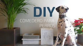 Como hacer un comedero para perros con SOLO 3 HERRAMIENTAS  DIY dog feeder [upl. by Leihcim]