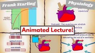 Cardiac Preload amp FrankStarling Law simply explained [upl. by Ender550]