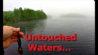 Fishing Remote Lake DEEP In the Woods of Northern Wisconsin [upl. by Barcot]