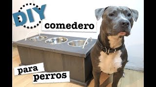 COMO HACER UN COMEDERO PARA PERROS super FACIL [upl. by Olva]