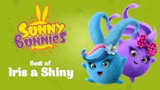 SUNNY BUNNIES  Iris and Shinys Top 10 Funniest Moments  Cartoons for Children [upl. by Dash294]