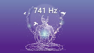 741 Hz Dissolve Toxins and Negative Thoughts Boost Immune System Meditation [upl. by Gokey]