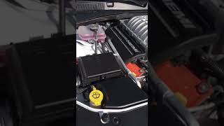 Dodge Charger Hellcat Supercharger Sound [upl. by Nicolette]