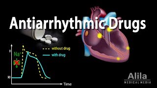 Antiarrhythmic Drugs Animation [upl. by Abisha]