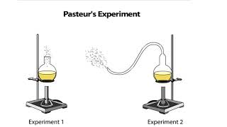 Pasteurs Experiment [upl. by Ahsurej]