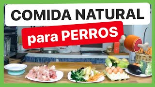 COMIDA para PERROS 🍖 FÁCIL NATURAL y ECONÓMICA ✅ ► DIETA BARF [upl. by Olav540]