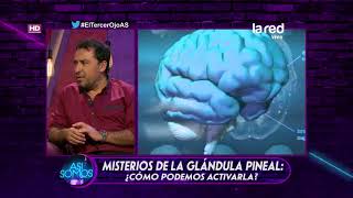 ¿Cómo activar la glándula pineal [upl. by Lahcym]