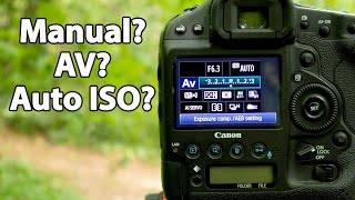 How I set up my Camera for Wildlife Photography  Camera Settings Canon [upl. by Malha]