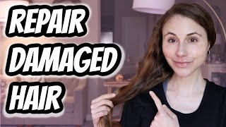 How to REPAIR DAMAGED HAIR Dr Dray [upl. by Mossberg]