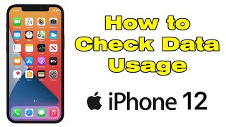 How to check data usage on iPhone 12 [upl. by Debra]