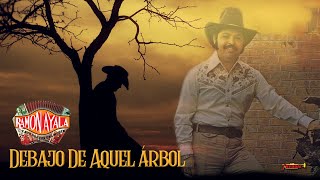 Ramon Ayala  Debajo De Aquel Árbol Video Lyric Oficial [upl. by Aljan]