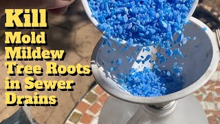 Copper Sulfate DIY Roof Cleaner and Tree Root Killer [upl. by Yuhas]