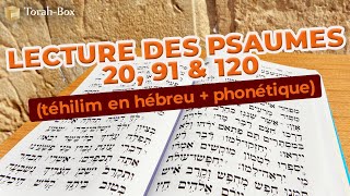 Lecture des psaumes 20 91 amp 120 téhilim en hébreu  phonétique [upl. by Aikemot399]