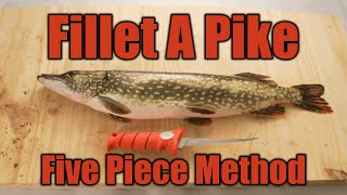 Fillet Pike with NO BONES StepbyStep [upl. by Culosio432]