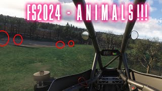 Finding ANIMALS in MSFS2024 [upl. by Taffy]