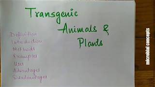 Transgenic animals and plants  Immunology [upl. by Icyac]