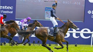 The Last 10 Epsom Derby Winners 20102019 FULL RACES [upl. by Liberati]