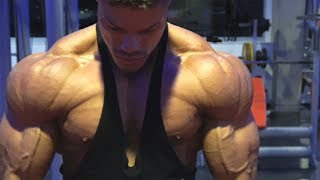 DELTOID Workout for BIG FULL Shoulders  Wes amp Wes [upl. by Poppas966]