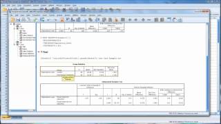 OneSample and IndependentSamples T Tests in SPSS [upl. by Akital]