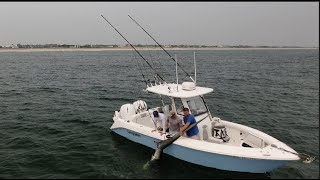 Drone  500 Pound Thresher Shark Caught Near Shore in NY [upl. by Normy244]