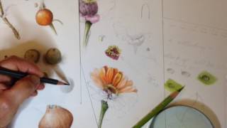 Botanical Basics Introduction [upl. by Lisette]