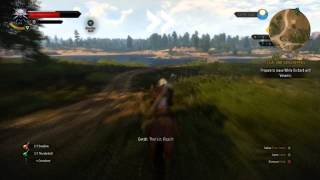 Treasure Hunt Deserter Gold  Key Location  The Witcher 3 [upl. by Oneida]