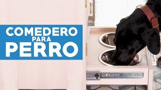 Cómo hacer un comedero para perro [upl. by Analem]