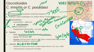 Coccidioides ParacoccidioidesTalaromycosis Penicillium [upl. by Adilem]