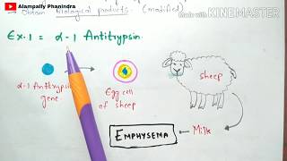 Animal Transgenesis  Transgenic animals  Process  Examples  Bio science [upl. by Lief]