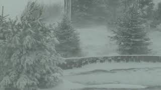 Epic Snowstorm  Howling Blizzard Sounds  Heavy Wind amp Snow  Perfect Sounds For Sleep [upl. by Heidy]