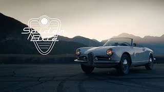 1956 Alfa Romeo Giulietta Spider Spider Bite [upl. by Reave]