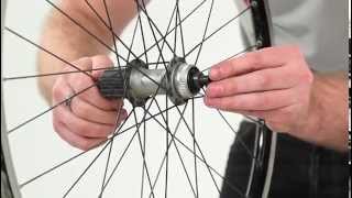 How to service your Shimano hubs [upl. by Luapnhoj]