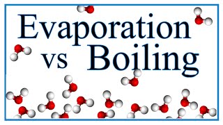 Boiling vs Evaporation Definition Examples amp Explanation [upl. by Nnahgaem]