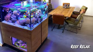 REEF RELAX  quotreef tank ambientequot  850 liter  seahorses [upl. by Ainod146]