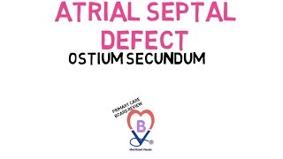 Ventricular Septal Defect VSD  Heart Auscultation  Episode 11 [upl. by Nibla]