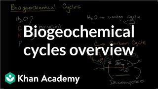 Biogeochemical cycles  Ecology  Khan Academy [upl. by Couq880]