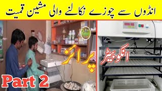 eggs incubator price in pakistan best amp cheap incubators in Pakistan Egg Hatching incubators [upl. by Eleirbag]