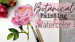 EASY ROSE IN WATERCOLOR [upl. by Yadrahc]