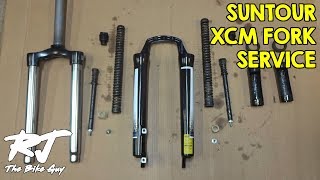 Suntour XCM Fork Service  DisassembleCleanLubeReassemble [upl. by Pulchi]