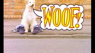 WOOF Episode 1 Season 7 [upl. by Notrom597]