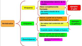 ESQUEMA DE LLAVES [upl. by Nurav]