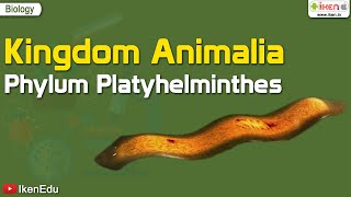 Kingdom Animalia Phylum Platyhelminthes  Biology  iKen  iKenEdu  iKenApp [upl. by Norrehc]