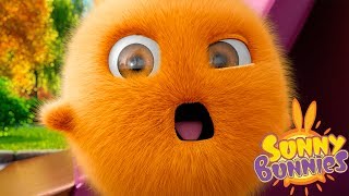 Cartoons for Children  SUNNY BUNNIES FULL SEASON 1  EP 1  26  Funny Cartoons For Children [upl. by Nivaj]