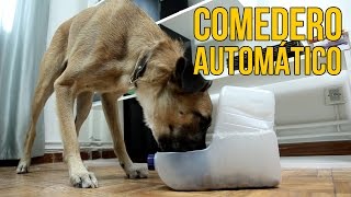 Cómo hacer un comedero automático para perros Experimentos Caseros [upl. by Lenna]