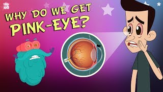 How to Apply Ointment to the Eyes and Eyelids [upl. by Paza620]