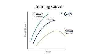 Starling Curve for the USMLE Step 1 [upl. by Siravrat851]