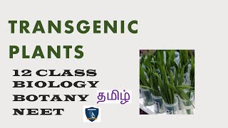 Transgenic Plants Tamil I Principles and Processes of Biotechnology I Botany I Class 12   NEET [upl. by Tawney]