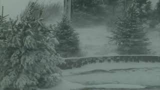 Epic Snowstorm  10 Hours Version  Howling Blizzard Sounds  Heavy Wind  Perfect Sounds For Sleep [upl. by Mirelle]