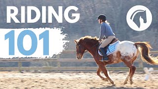 HOW TO RIDE A HORSE EASY BEGINNERS GUIDE [upl. by Esinehs]